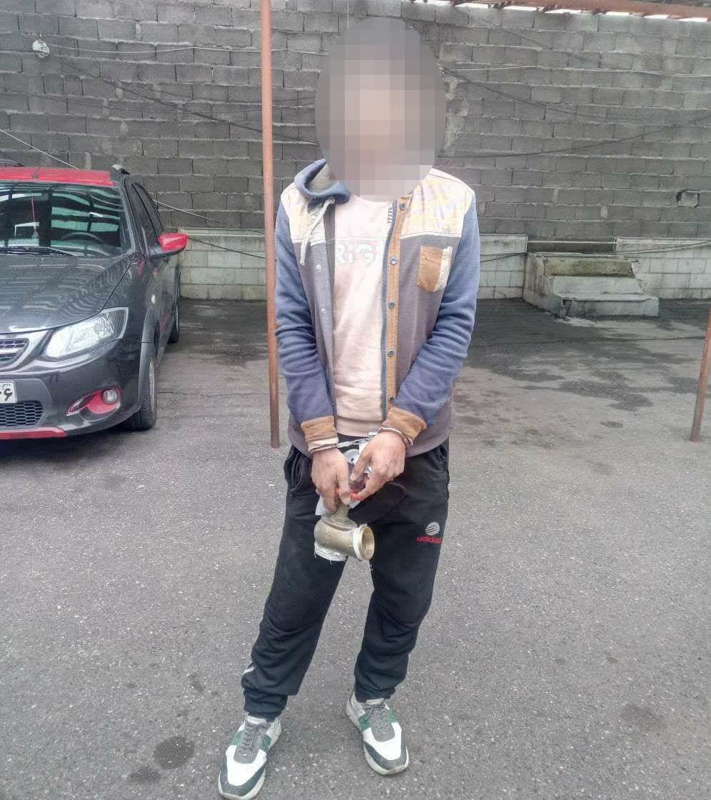 سرقت از مشاعات ساختمان تخصص سارق