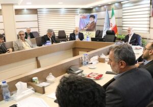 اقدام سریع در جمع‌آوری سگ‌های ولگرد