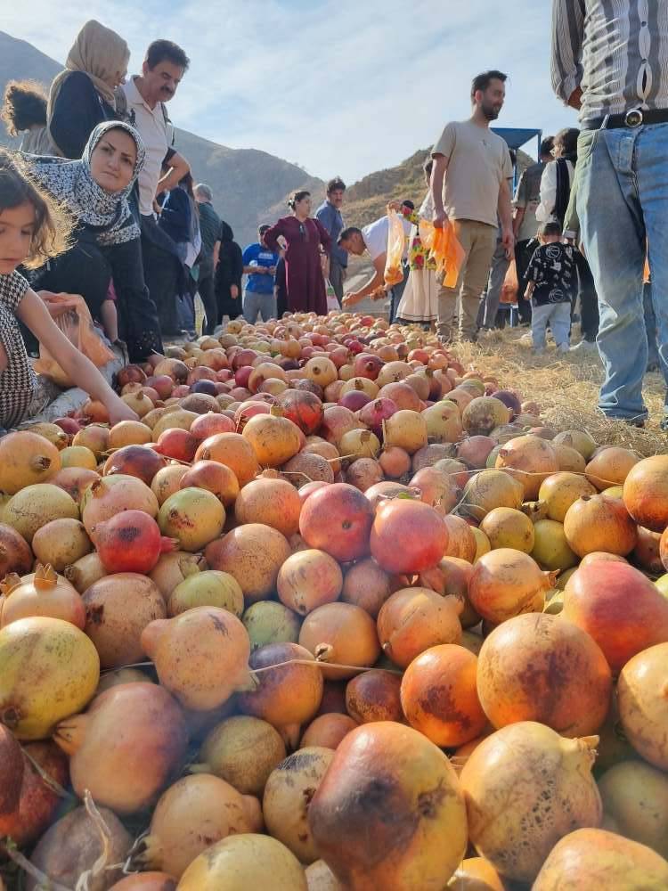 “جشنواره انارچینی  روستای انبوه ” زیر سایه کمبودها و مشکلاتی که سال هاست وجود دارد