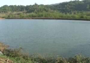 اجرای عملیات لایروبی ۵۰۰ هکتار از آب بندان‌های گیلان در سال جاری