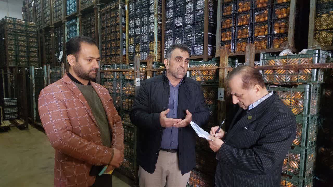 امسال در خصوص توزيع ميوه هیچ محدوديتی نداريم