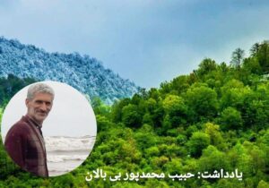 بی‌تفاوتی مسئولان و خیانتی که به جنگل‌های هیرکانی می‌شود!