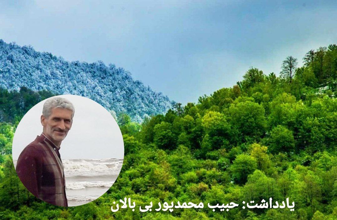 بی‌تفاوتی مسئولان و خیانتی که به جنگل‌های هیرکانی می‌شود!