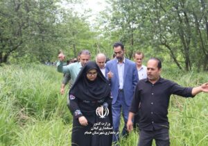 هم‌افزایی برای طبیعت؛ کاشت نهال در جنگل‌های هیرکانی خمام