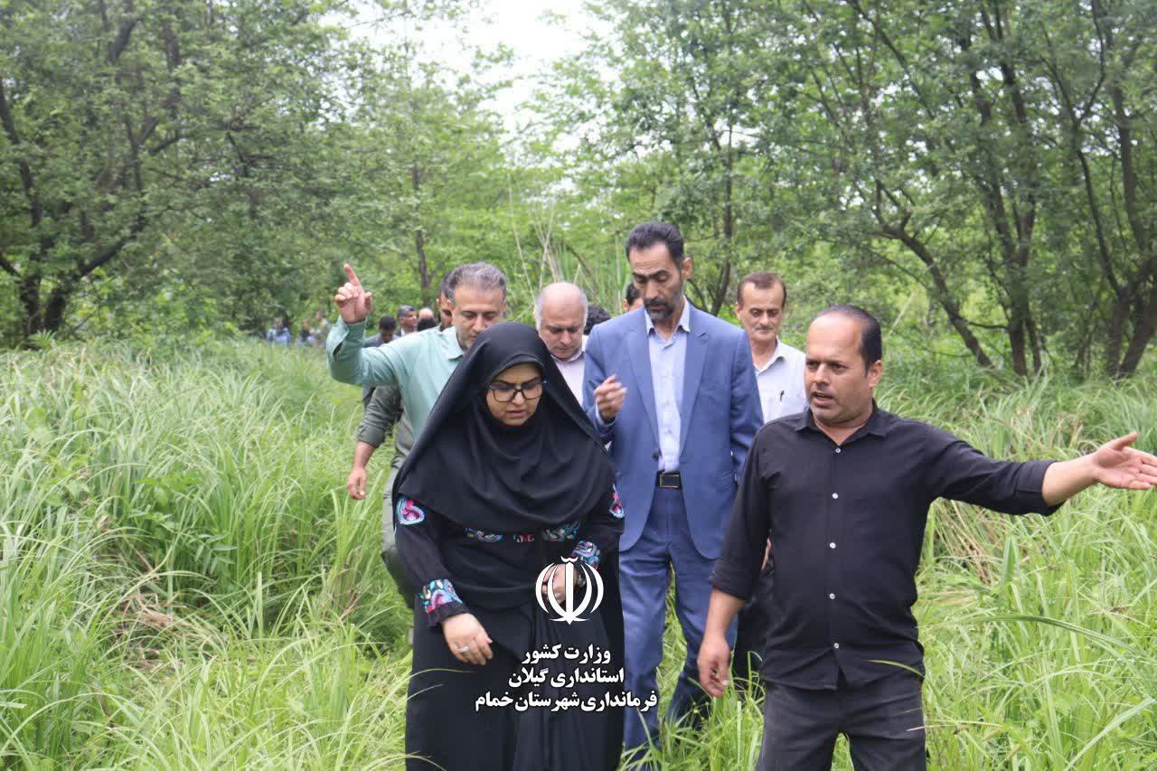 هم‌افزایی برای طبیعت؛ کاشت نهال در جنگل‌های هیرکانی خمام