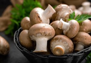 برای کاهش وزن قارچ بخورید