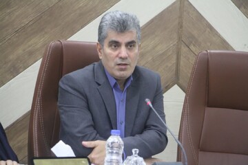 کشت بادام زمینی در 3 هزار هکتار از اراضی زراعی گیلان آغاز شد