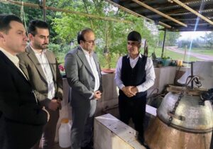گلاب‌گیری گیلده شفت نماد پایداری میراث ناملموس 