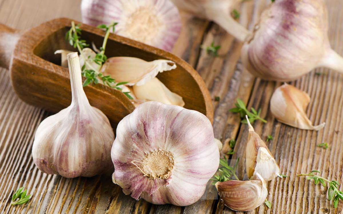 برای سلامتی سیر خام بهتر است یا سیر پخته؟