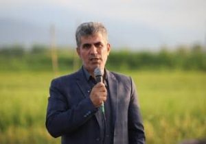حدود ۱۵۹ هزار هکتار از زمین‌های کشاورزی گیلان سنددار شد