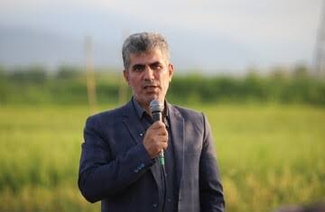 حدود ۱۵۹ هزار هکتار از زمین‌های کشاورزی گیلان سنددار شد