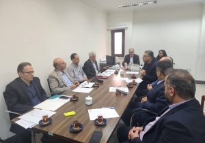 ضرورت تامین مالی و سرمایه در گردش شالیکوبی های استان